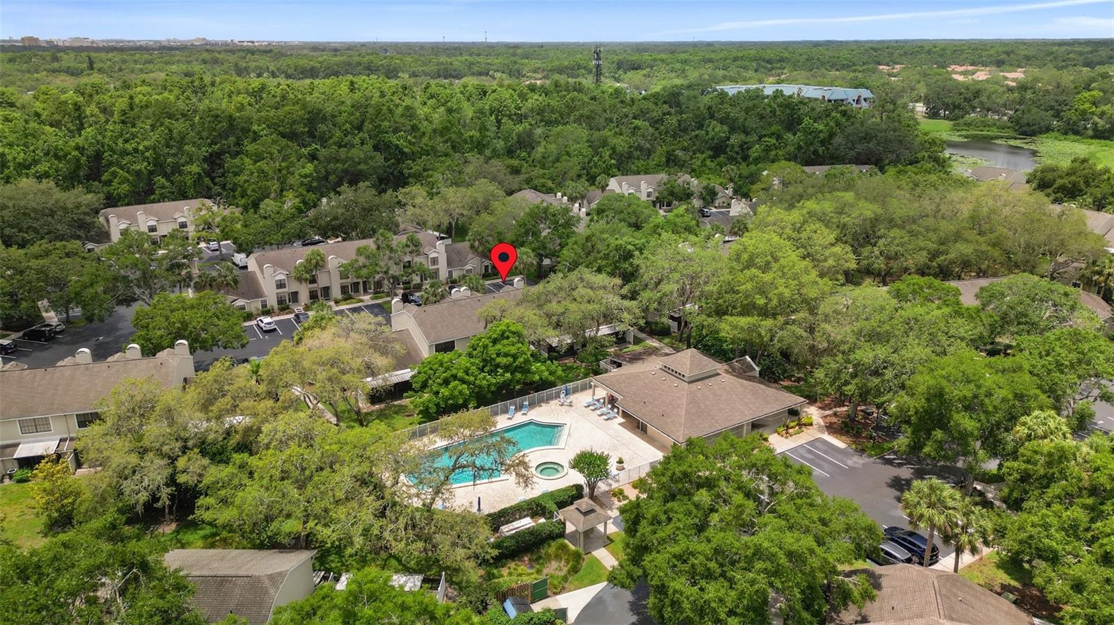 5100 BURCHETTE RD #2702, TAMPA, FL, 33647