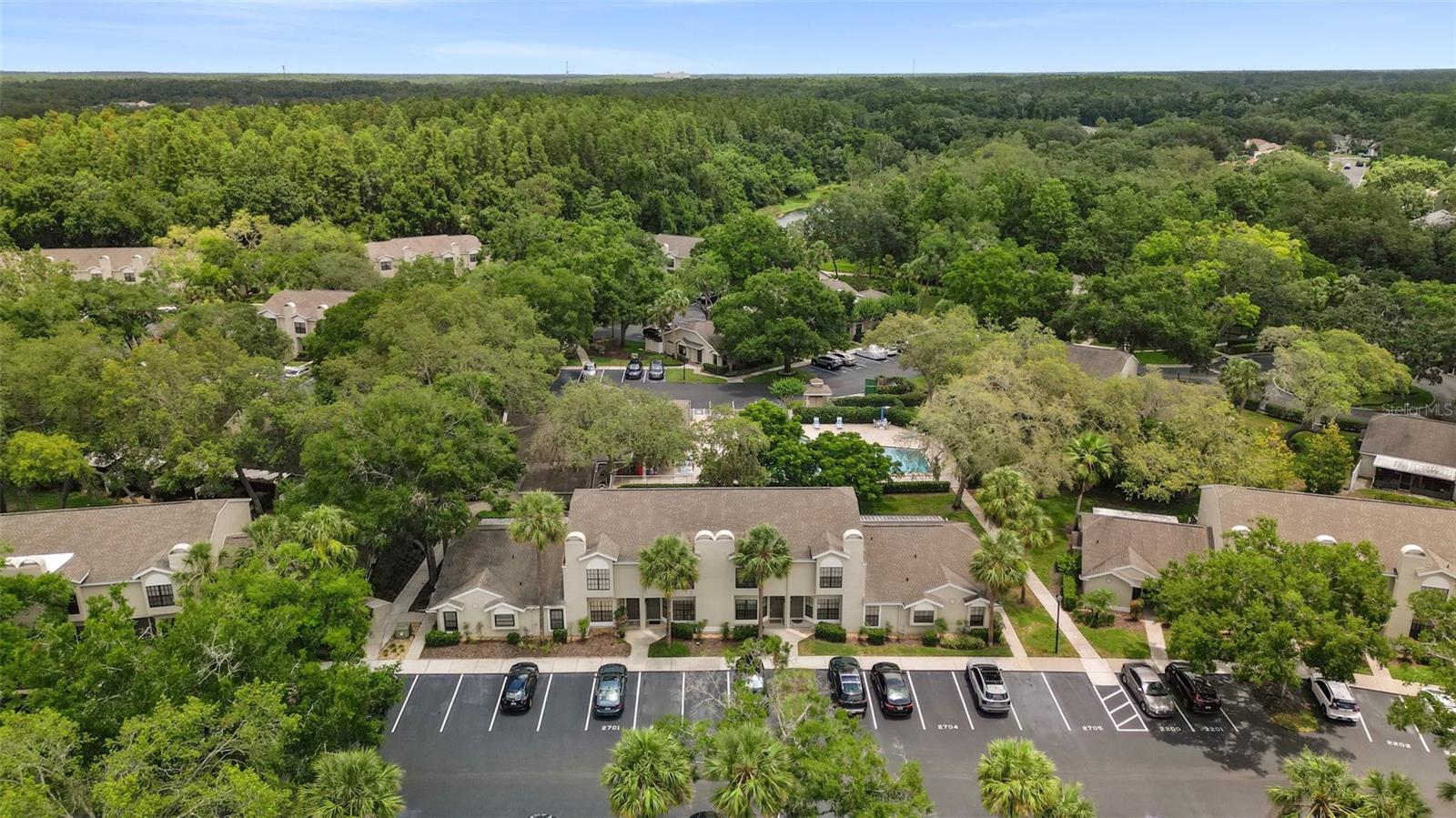 5100 BURCHETTE RD #2702, TAMPA, FL, 33647