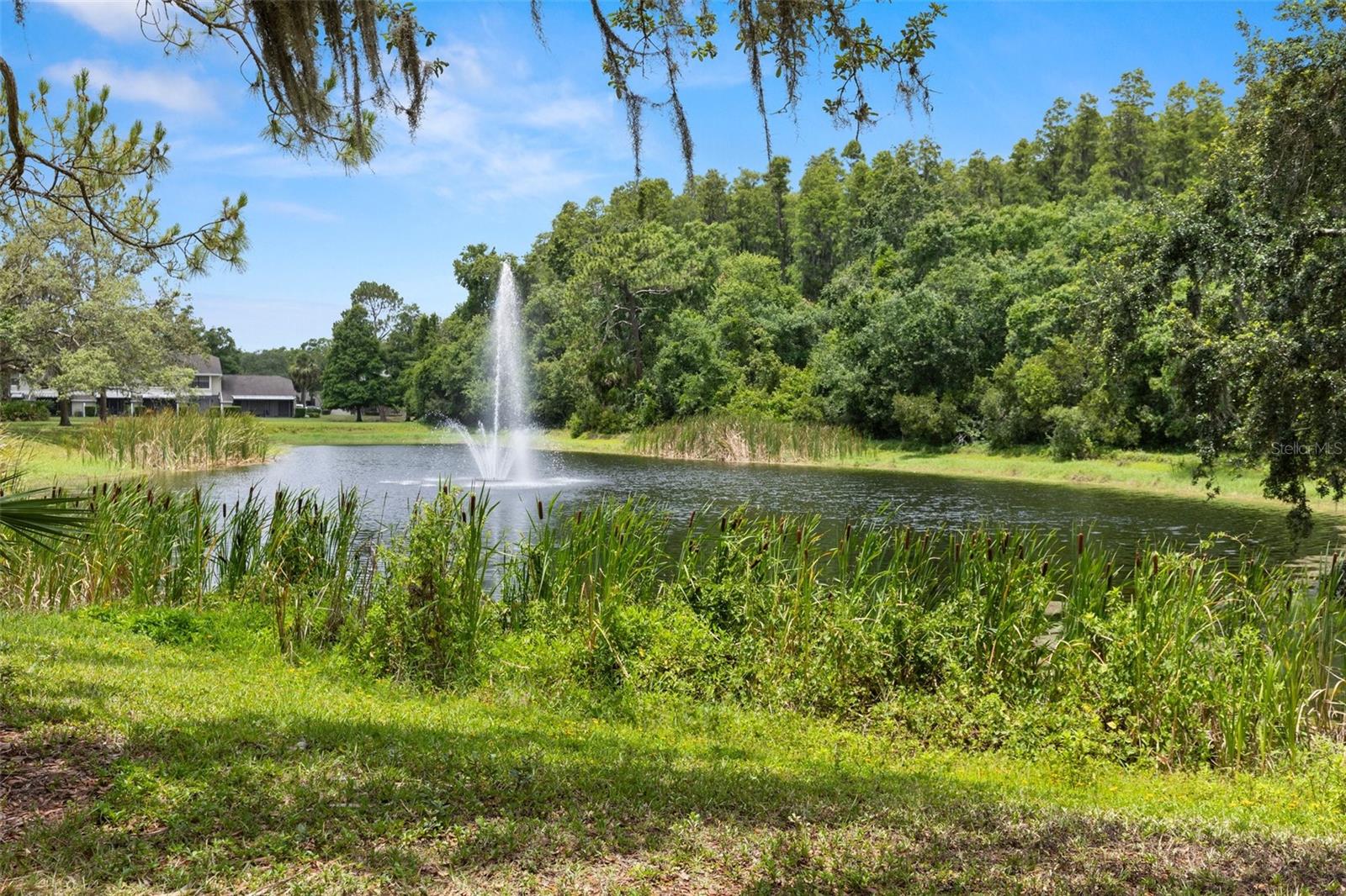 5100 BURCHETTE RD #2702, TAMPA, FL, 33647