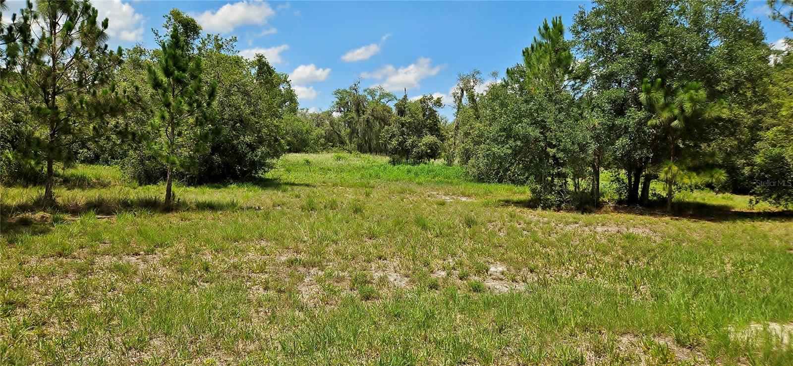 MAMMOTH GROVE RD, LAKE WALES, FL, 33898