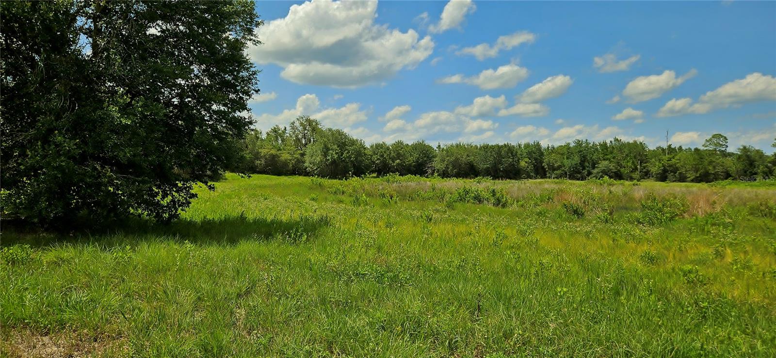 MAMMOTH GROVE RD, LAKE WALES, FL, 33898