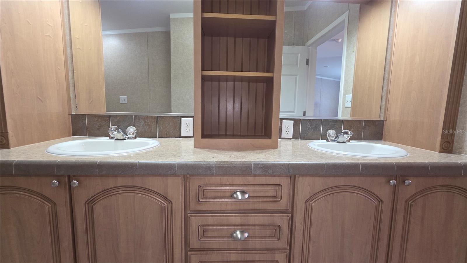 6238 ANGUS VALLEY DR, WESLEY CHAPEL, FL, 33544