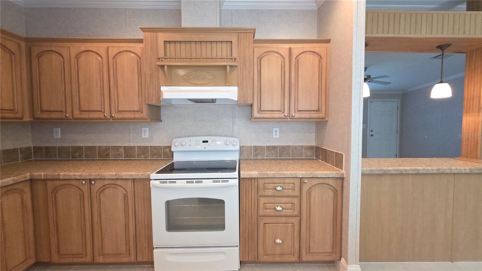 6238 ANGUS VALLEY DR, WESLEY CHAPEL, FL, 33544