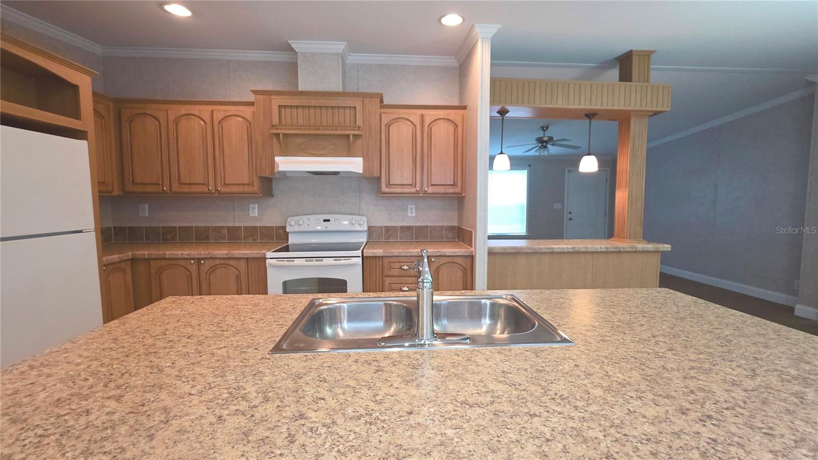 6238 ANGUS VALLEY DR, WESLEY CHAPEL, FL, 33544