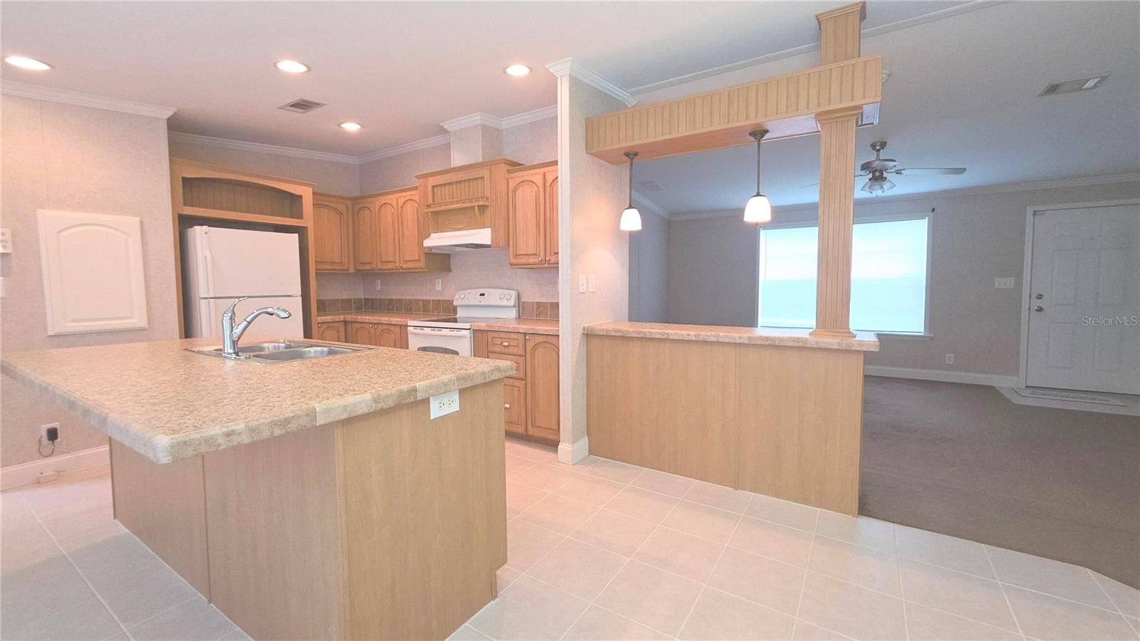 6238 ANGUS VALLEY DR, WESLEY CHAPEL, FL, 33544