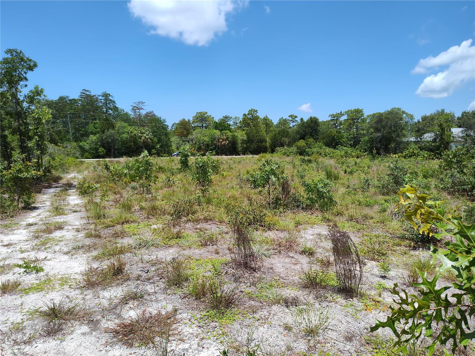 18484 RAMSEY RD, WEEKI WACHEE, FL, 34614