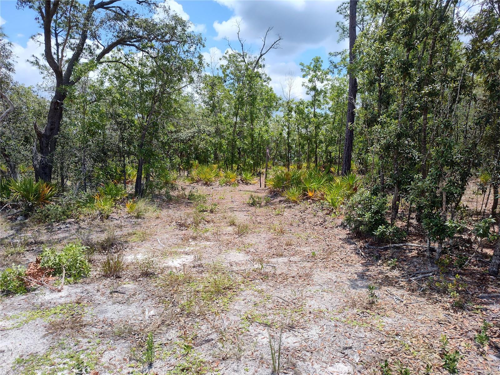 18484 RAMSEY RD, WEEKI WACHEE, FL, 34614