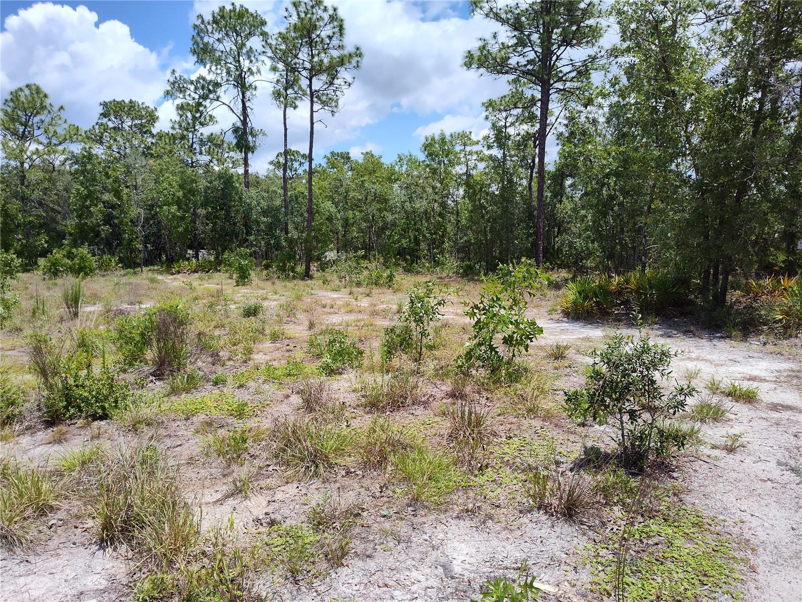 18484 RAMSEY RD, WEEKI WACHEE, FL, 34614