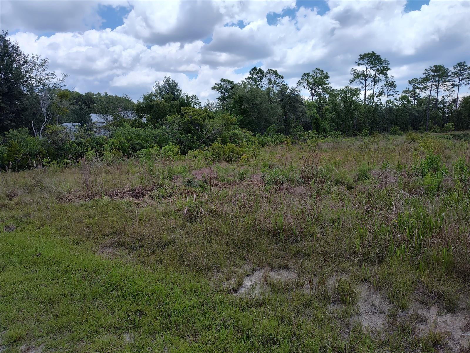 18484 RAMSEY RD, WEEKI WACHEE, FL, 34614