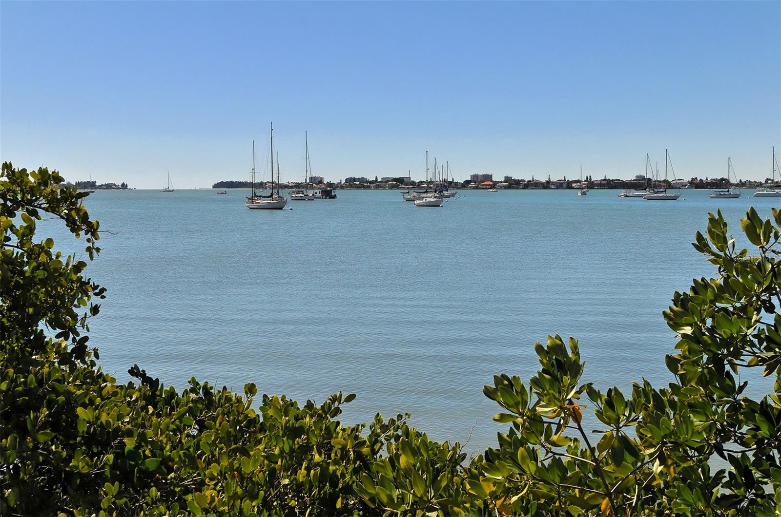 101 S GULFSTREAM AVE #8G, SARASOTA, FL, 34236