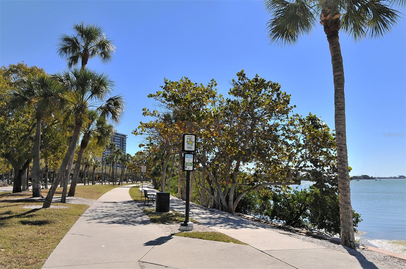 101 S GULFSTREAM AVE #8G, SARASOTA, FL, 34236