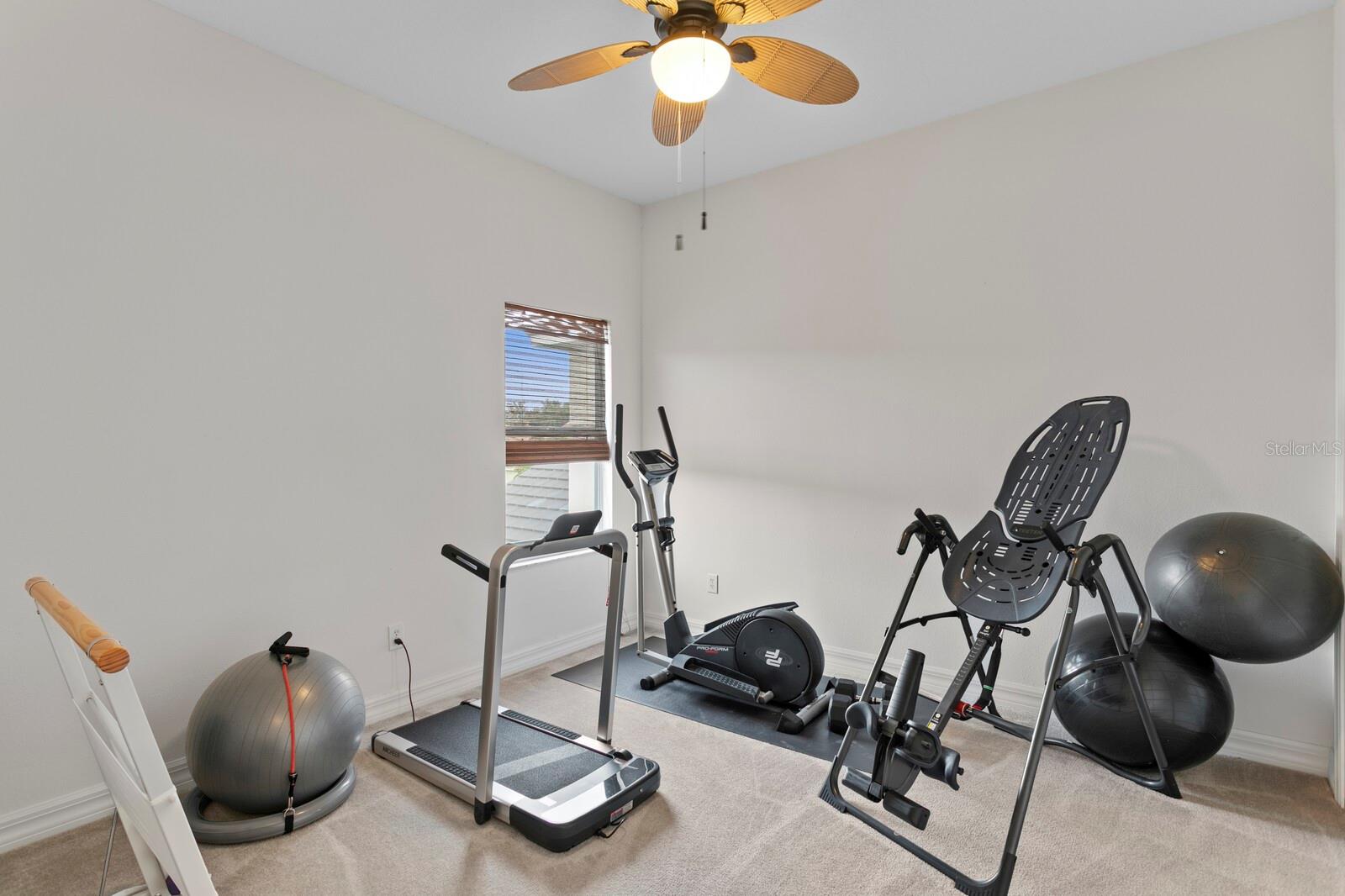 18050 COZUMEL ISLE DR, TAMPA, FL, 33647