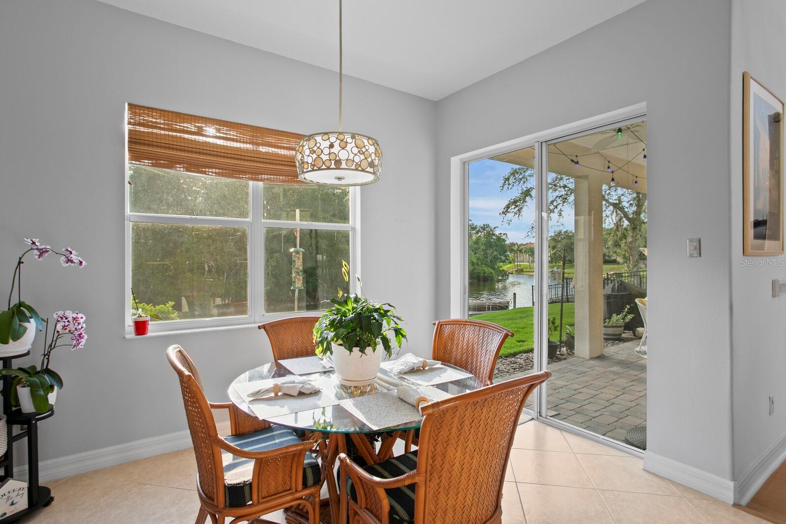 18050 COZUMEL ISLE DR, TAMPA, FL, 33647