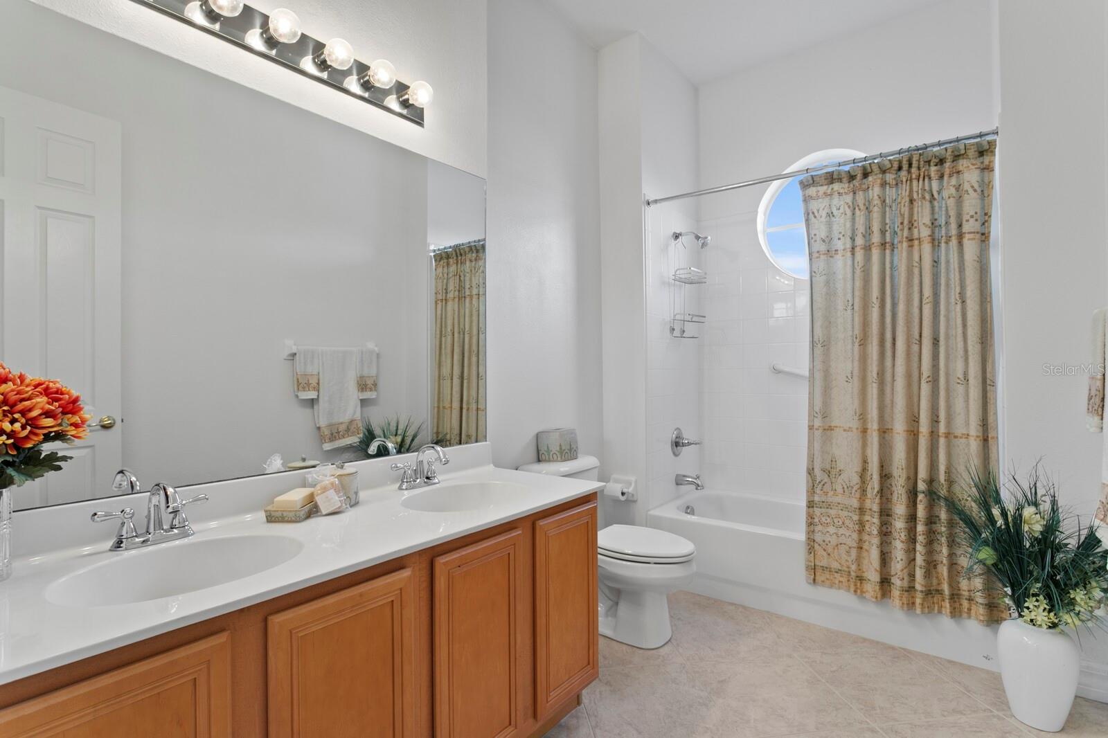 18050 COZUMEL ISLE DR, TAMPA, FL, 33647