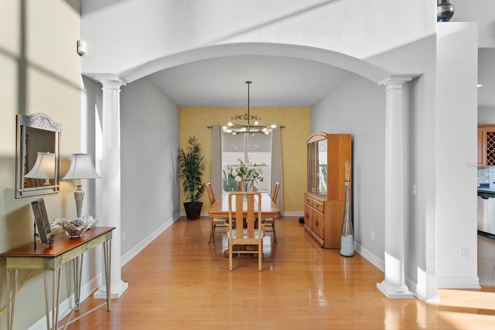 18050 COZUMEL ISLE DR, TAMPA, FL, 33647