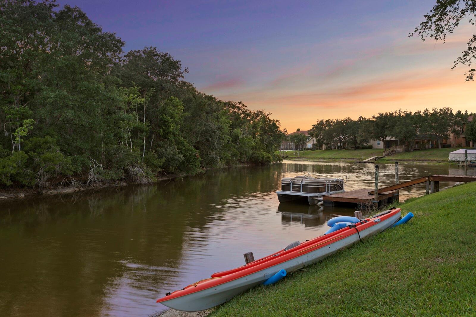 18050 COZUMEL ISLE DR, TAMPA, FL, 33647