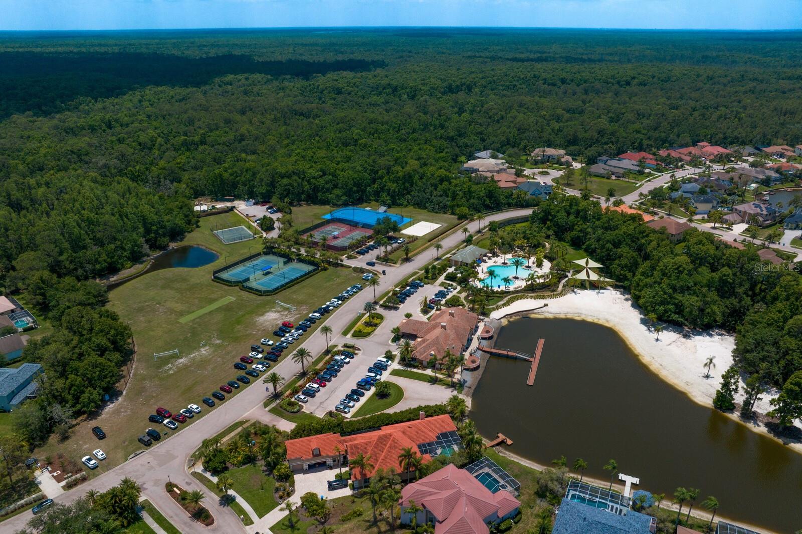 18050 COZUMEL ISLE DR, TAMPA, FL, 33647