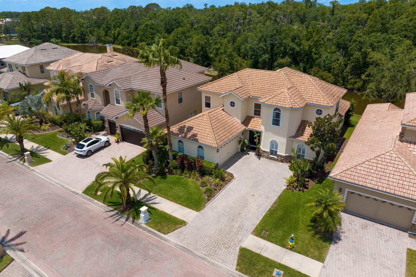 18050 COZUMEL ISLE DR, TAMPA, FL, 33647