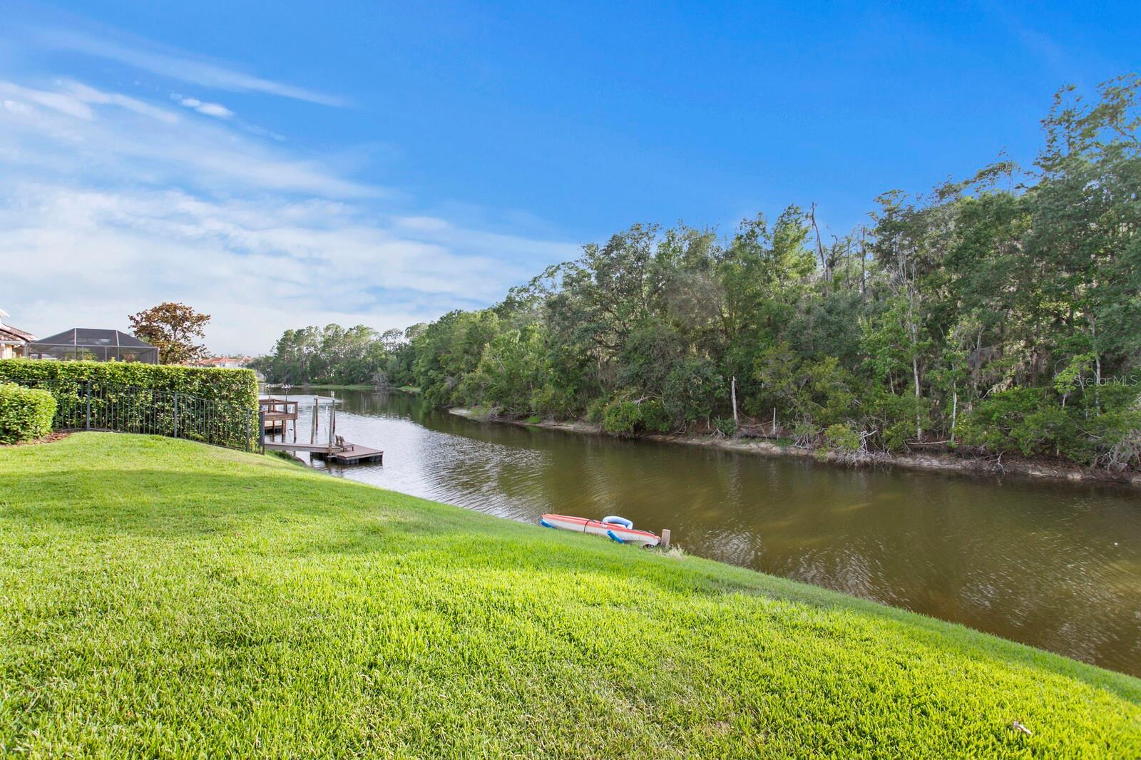 18050 COZUMEL ISLE DR, TAMPA, FL, 33647