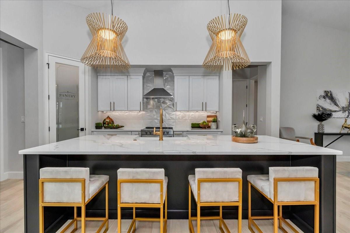 1631 W HWY 329, CITRA, FL, 32113