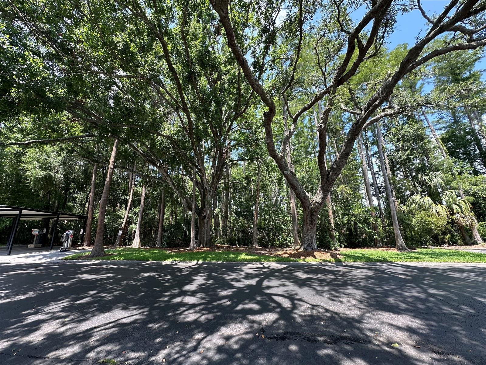 Front view of conservation area