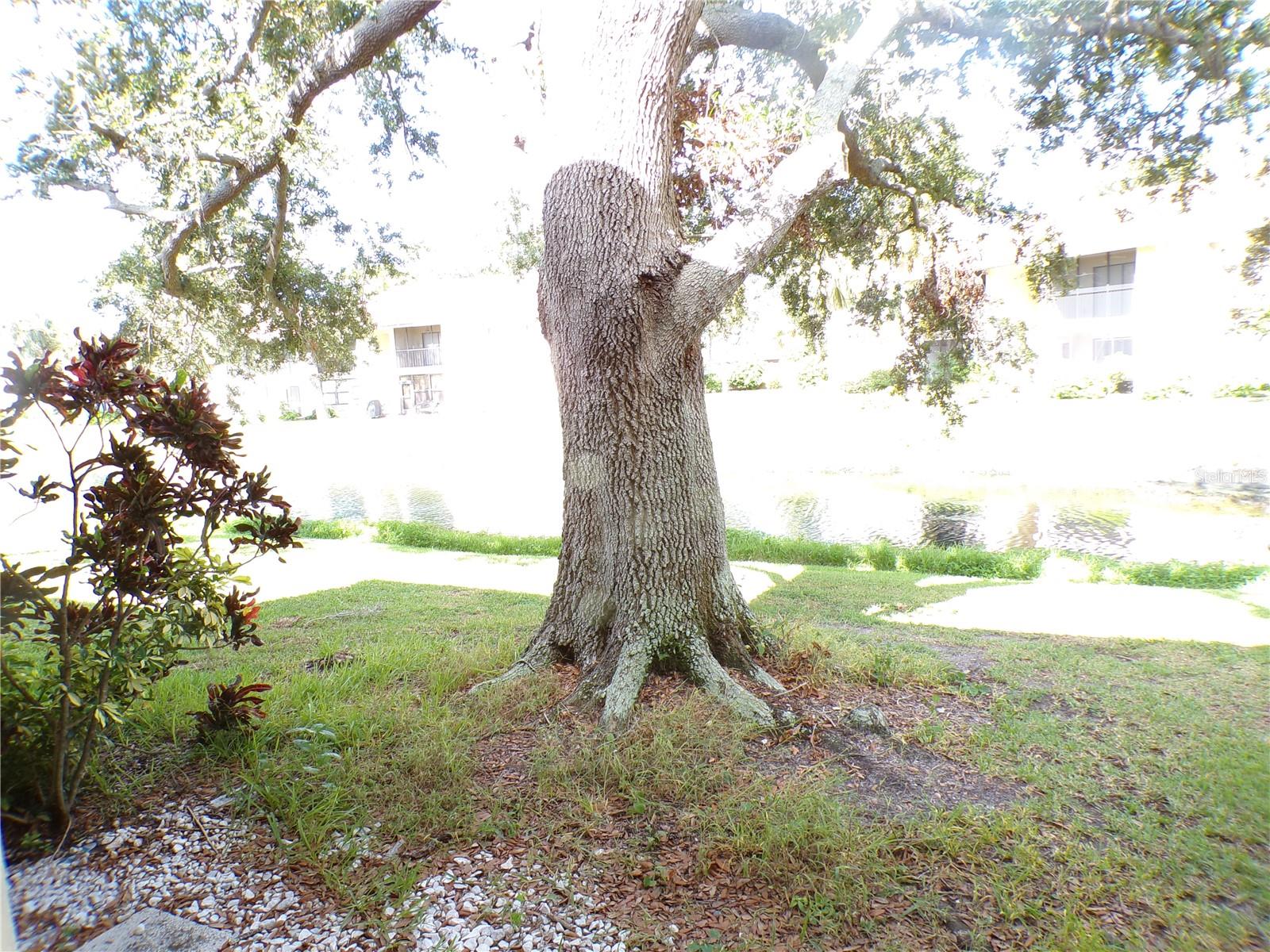 638 BIRD BAY DR E #212, VENICE, FL, 34285