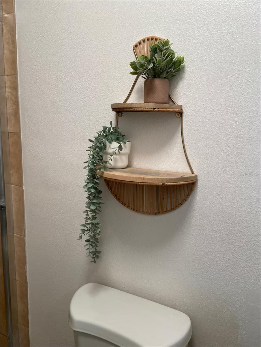 4223 W LAUREL ST, TAMPA, FL, 33607