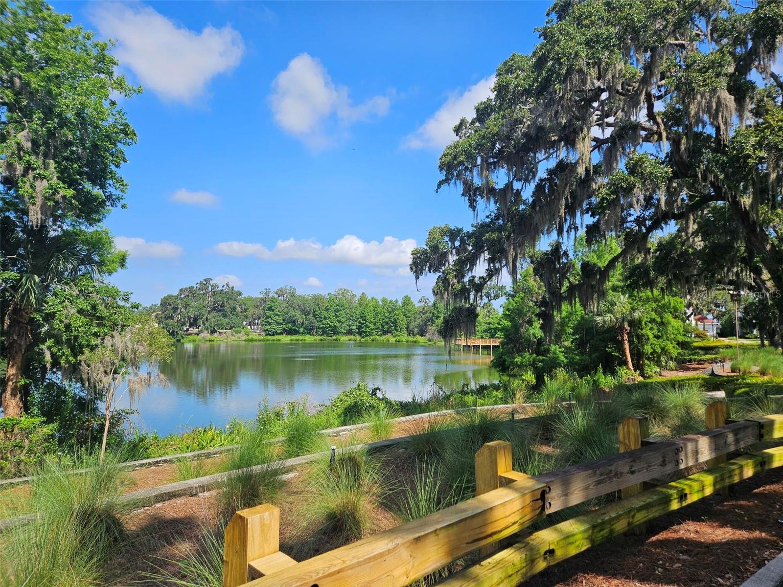 960 CIVITAS WAY, WINTER GARDEN, FL, 34787