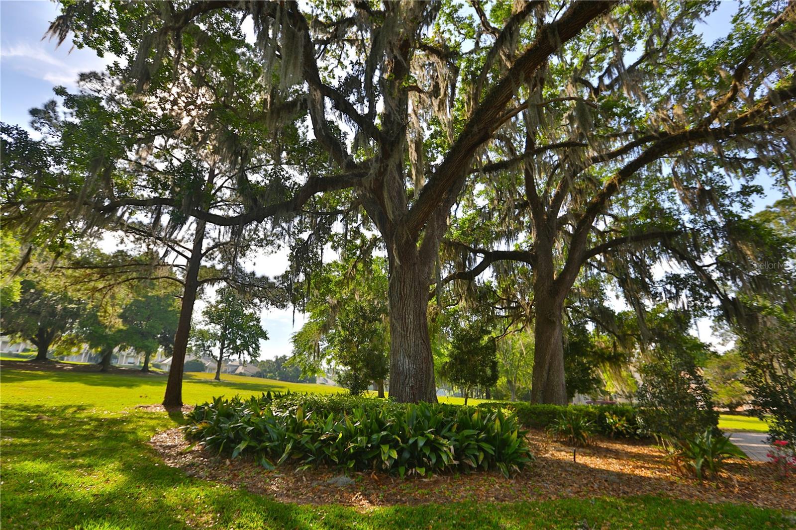 OM702736 Property Photo