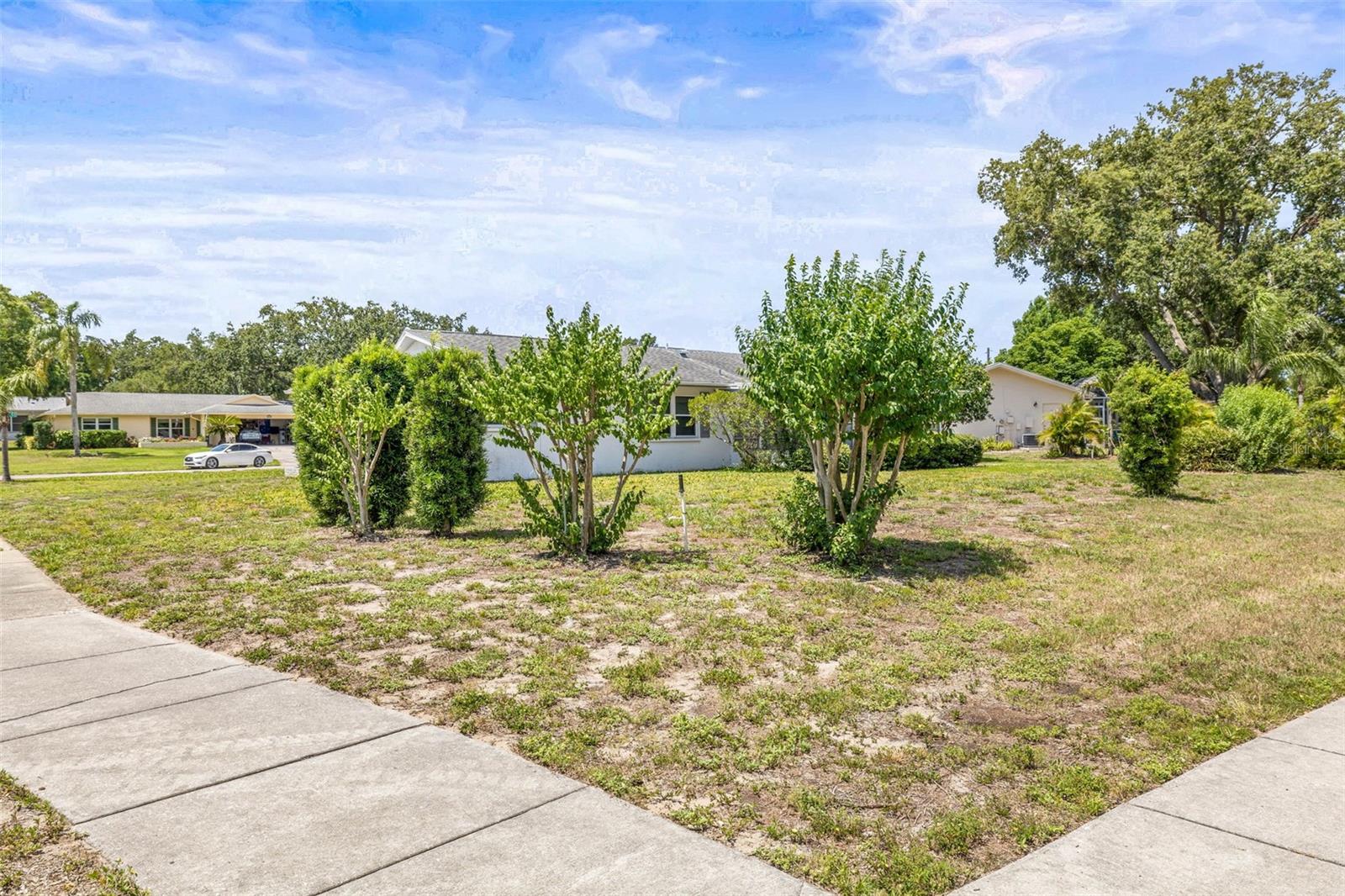 1410 BRIGHTON CT, PALM HARBOR, FL, 34684