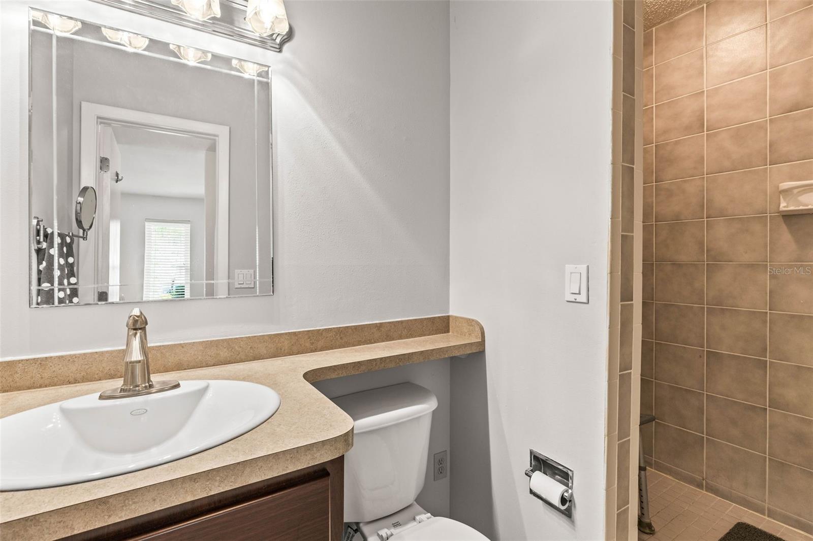 1410 BRIGHTON CT, PALM HARBOR, FL, 34684