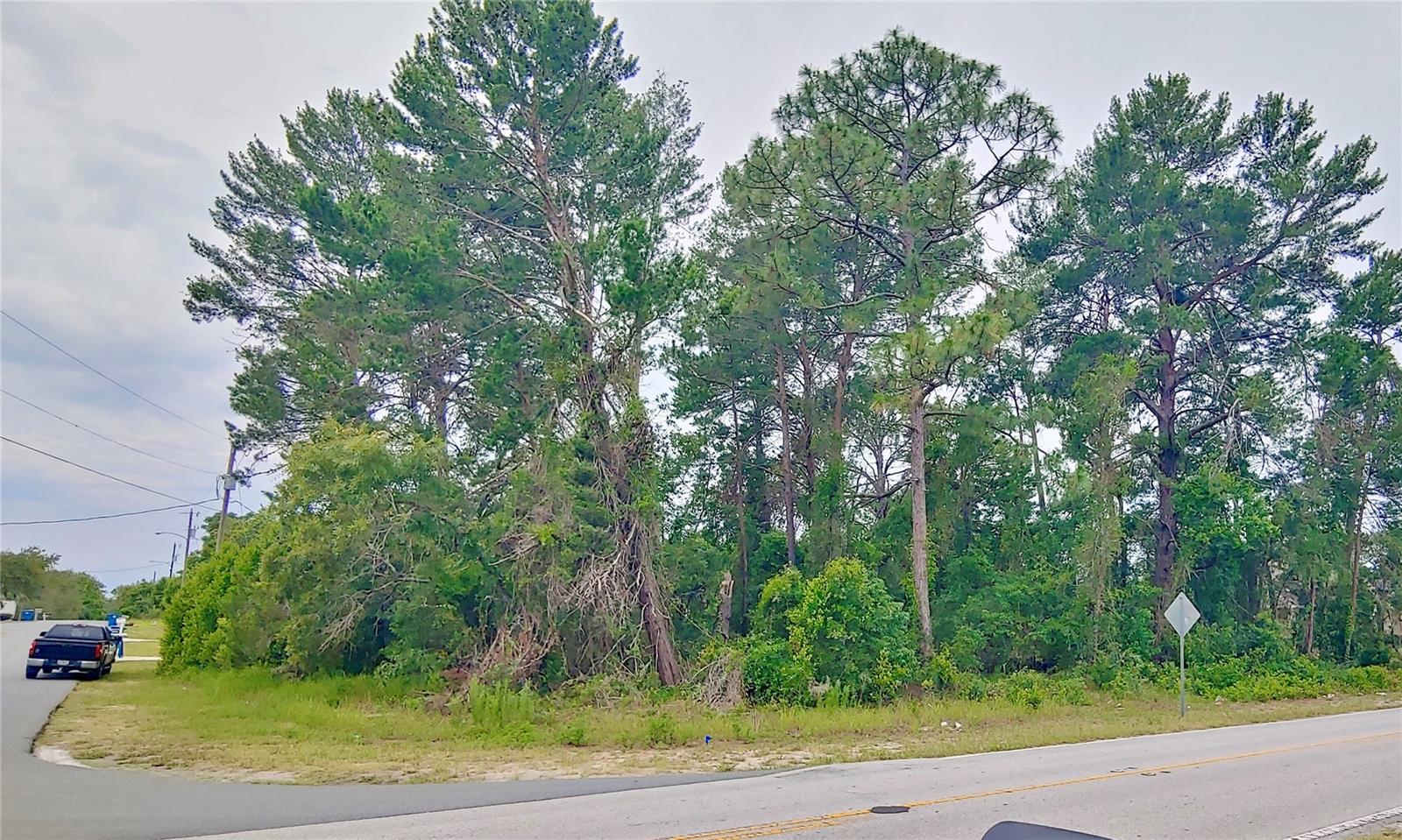 3099 STANTON AVE. AVE, SPRING HILL, FL, 34609