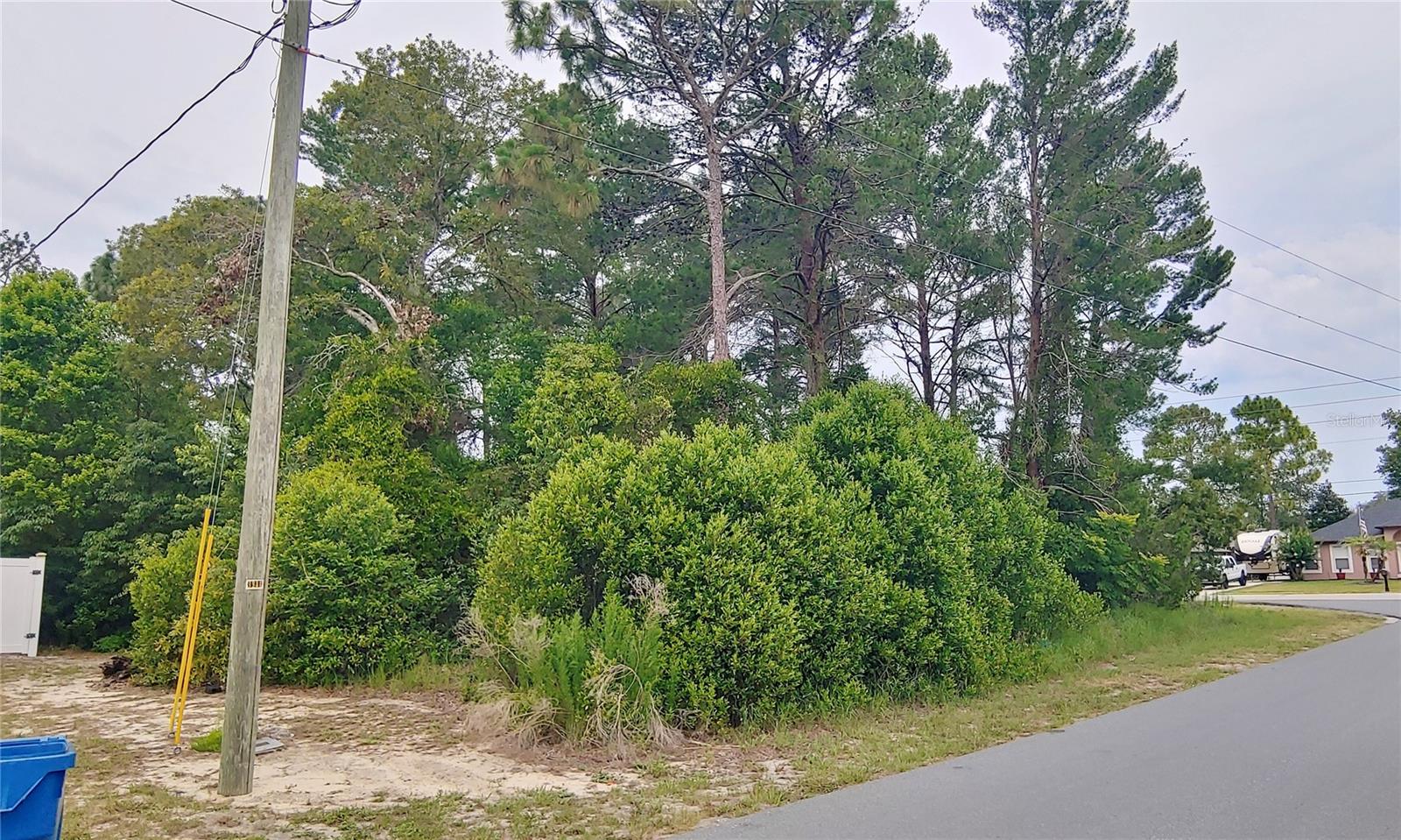 3099 STANTON AVE. AVE, SPRING HILL, FL, 34609