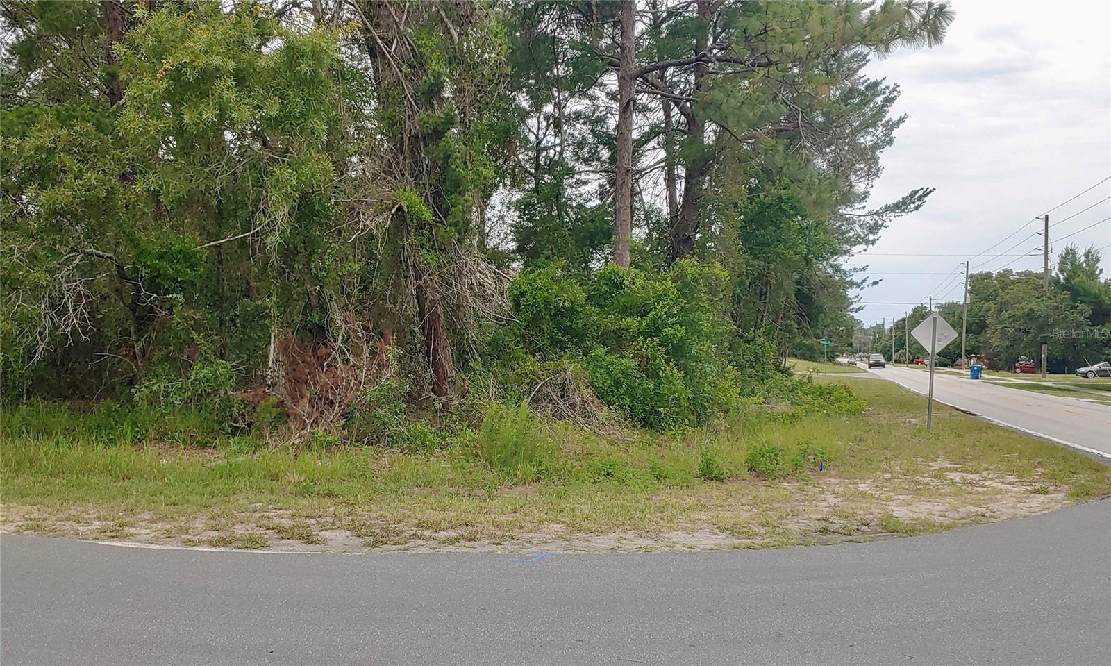 3099 STANTON AVE. AVE, SPRING HILL, FL, 34609