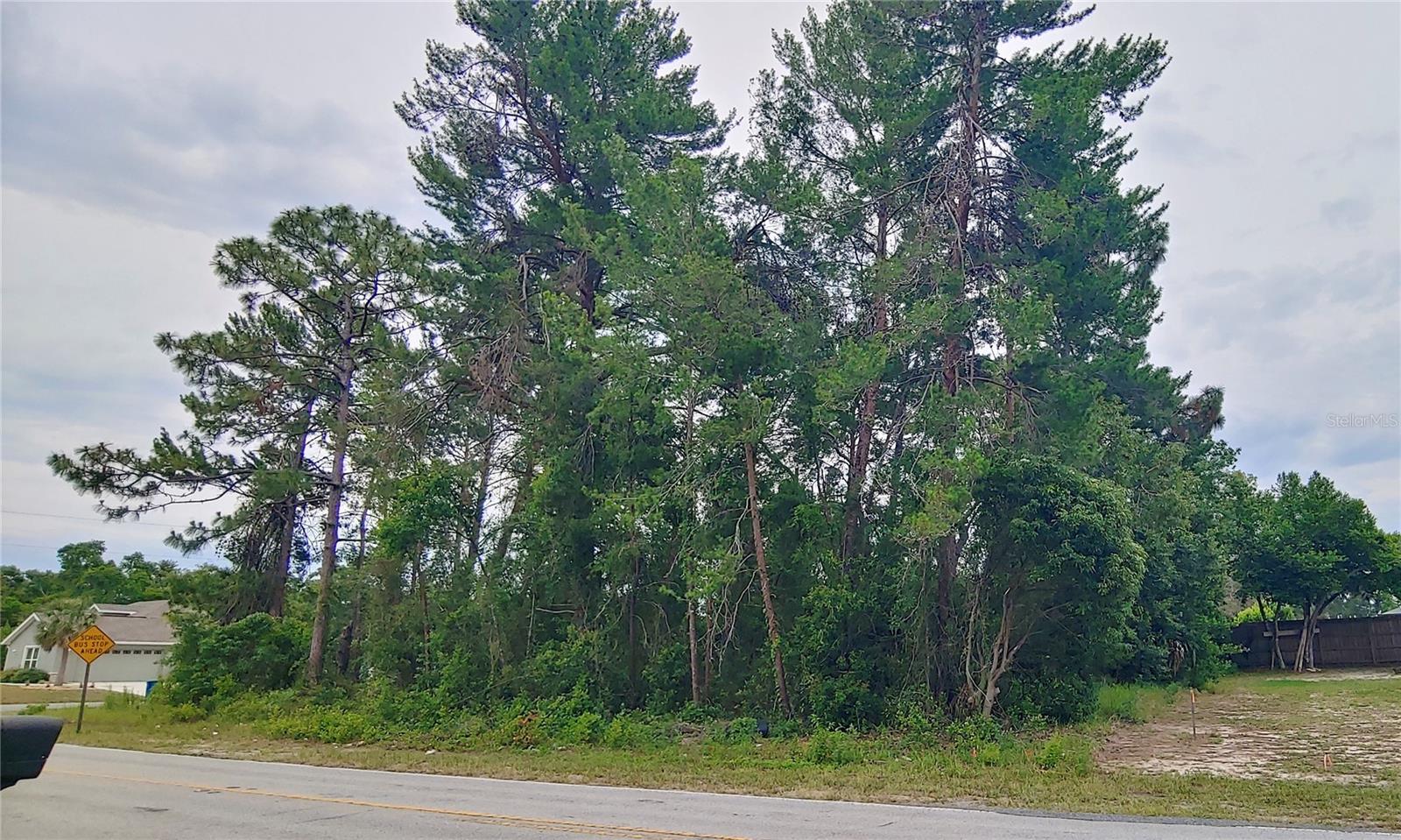 3099 STANTON AVE. AVE, SPRING HILL, FL, 34609