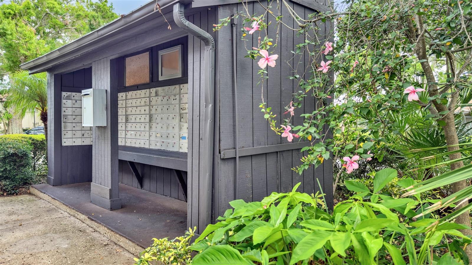 1844 BOUGH AVE #C, CLEARWATER, FL, 33760