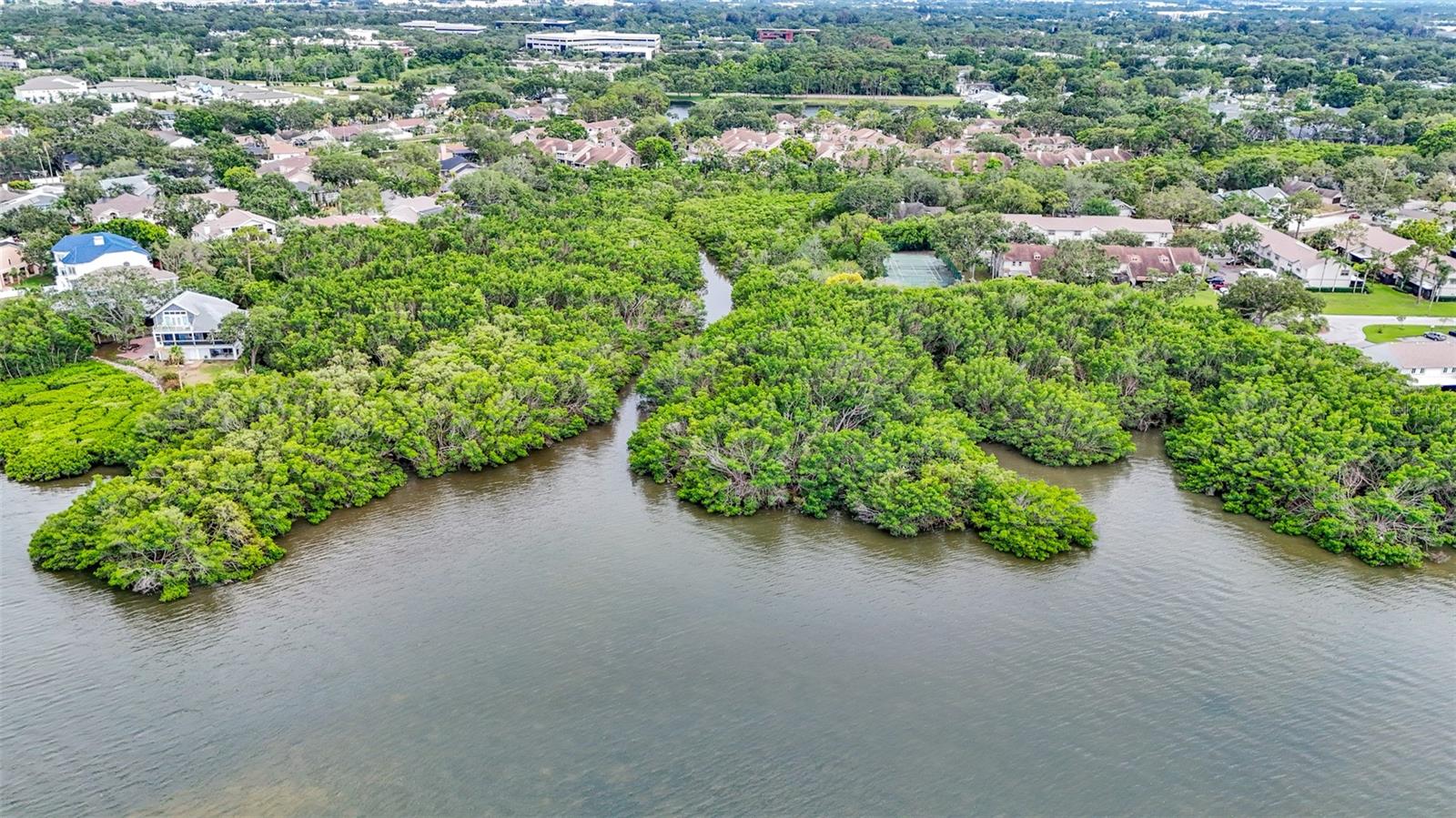 1844 BOUGH AVE #C, CLEARWATER, FL, 33760