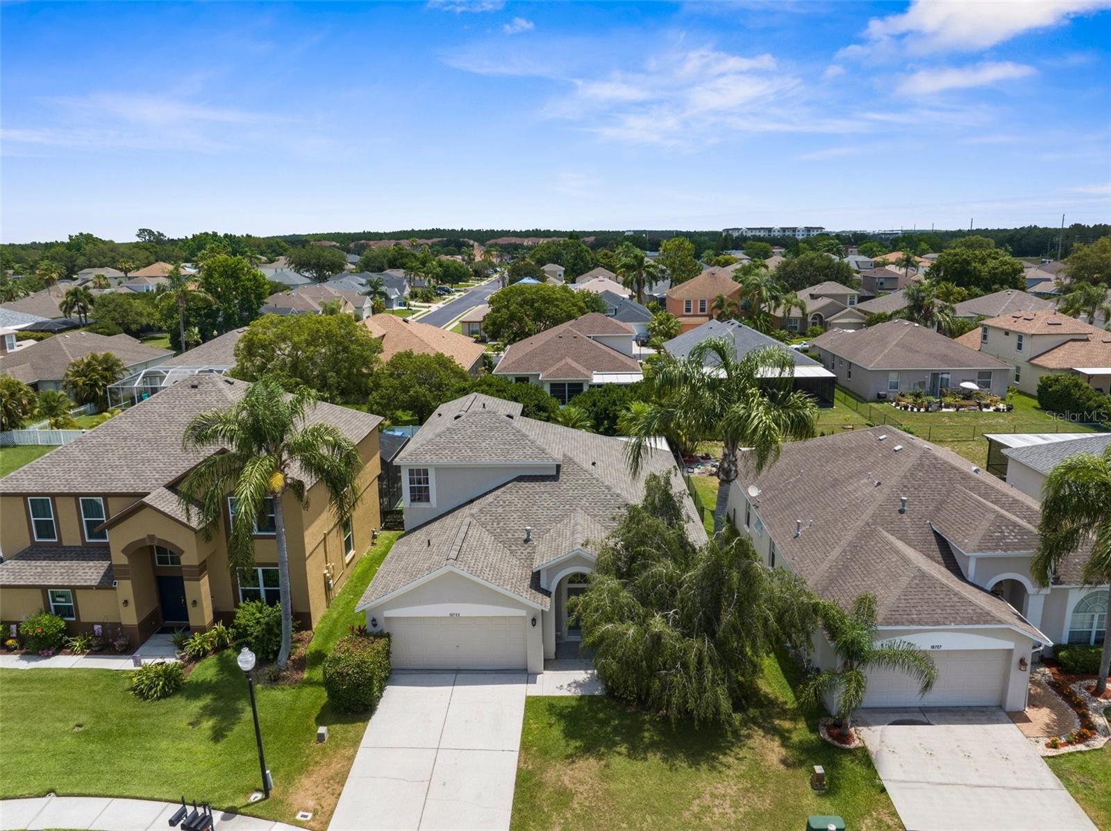 10723 EVENINGWOOD CT, TRINITY, FL, 34655