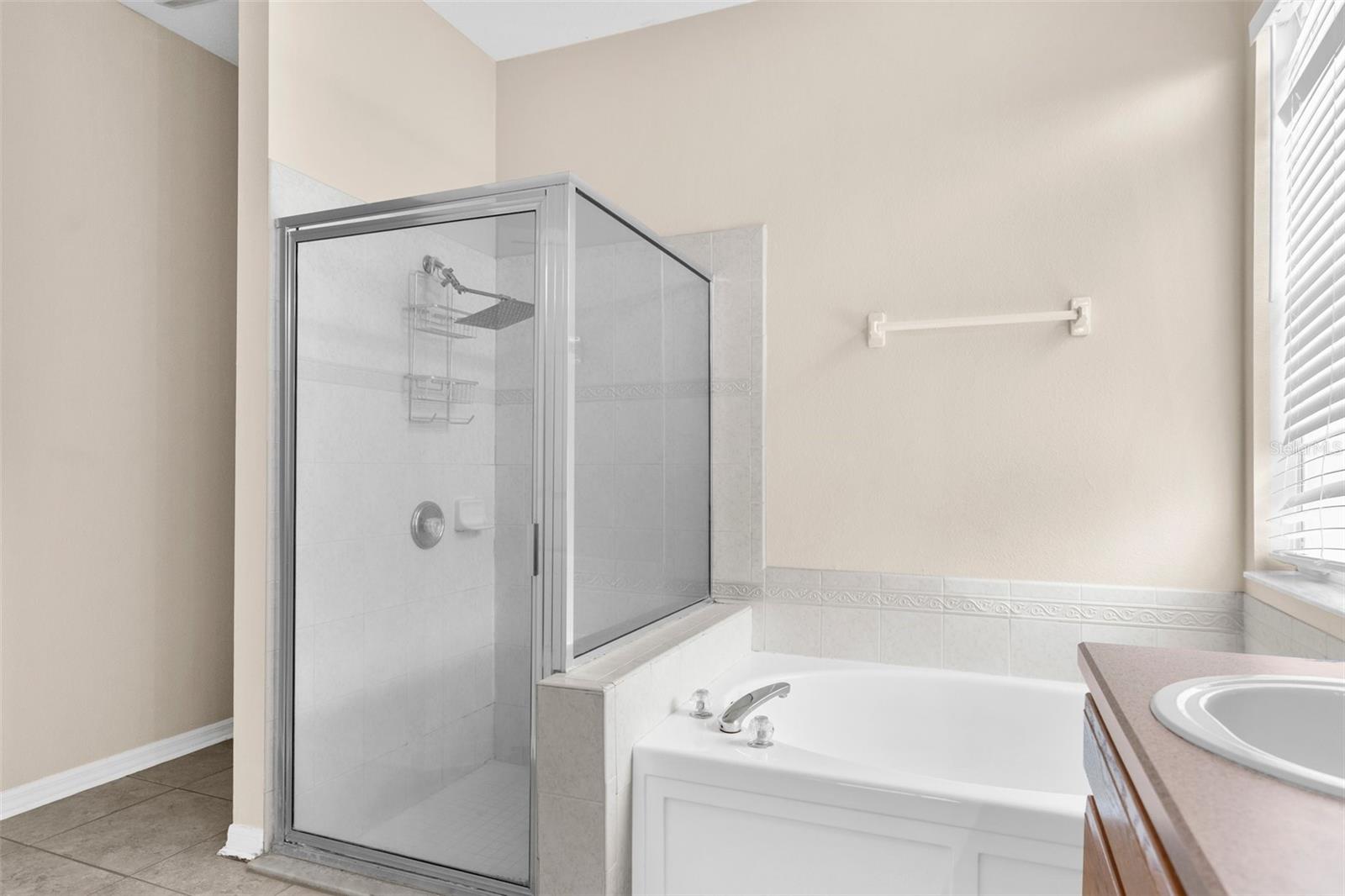 10723 EVENINGWOOD CT, TRINITY, FL, 34655