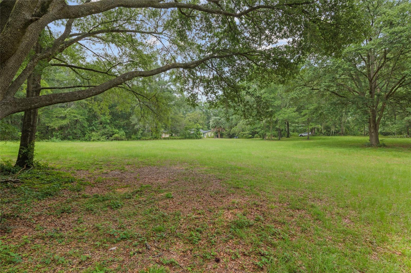 12832 SW 14TH AVE, NEWBERRY, FL, 32669