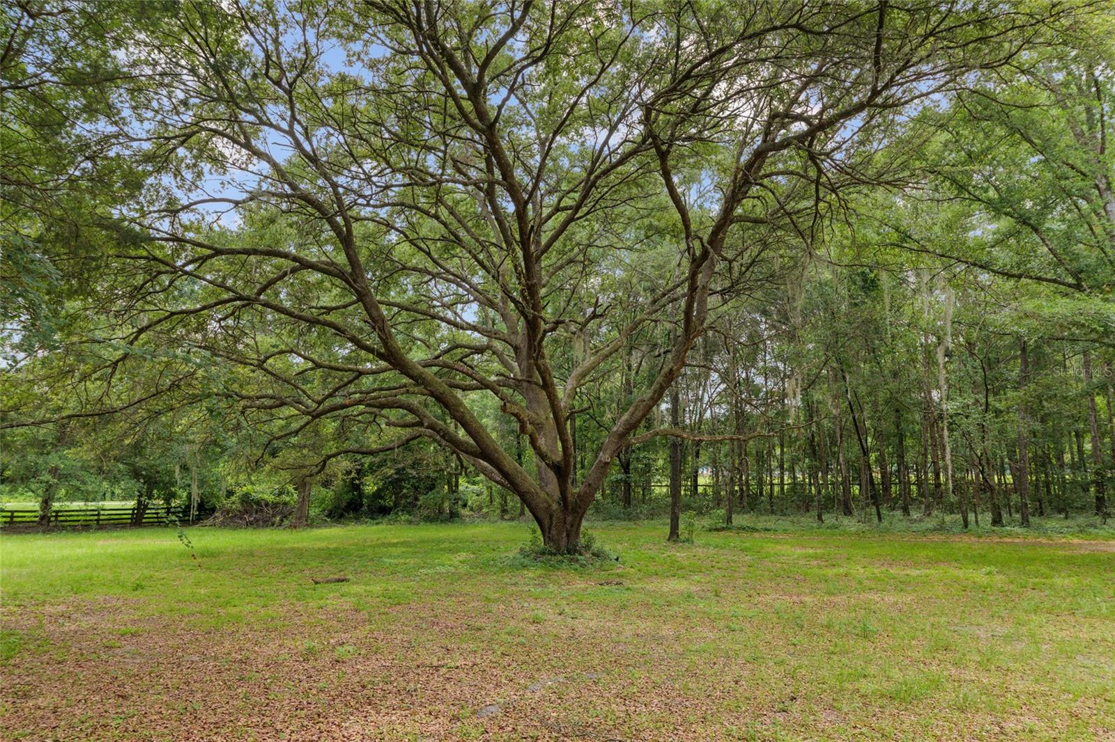 12832 SW 14TH AVE, NEWBERRY, FL, 32669