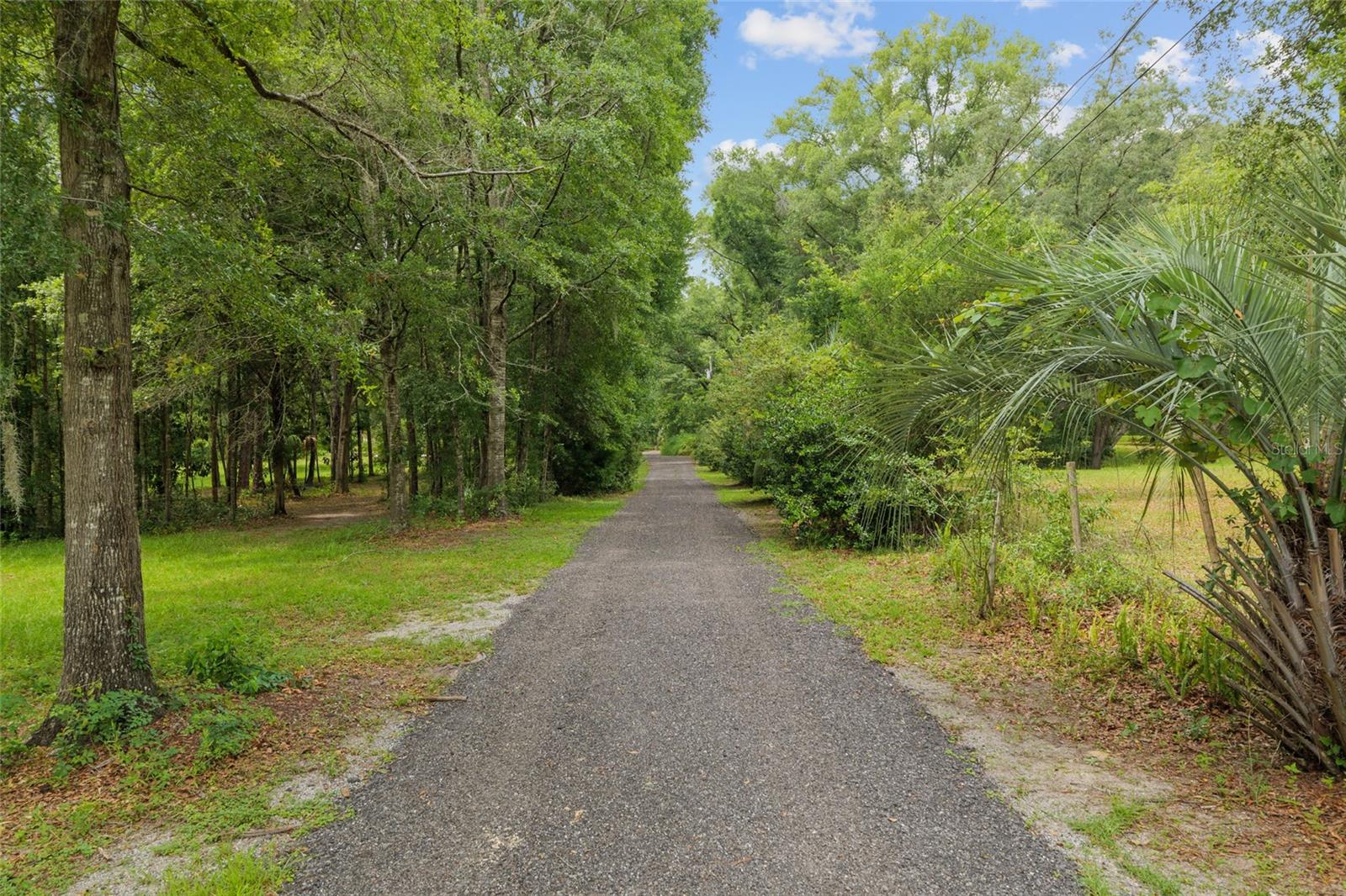 12832 SW 14TH AVE, NEWBERRY, FL, 32669