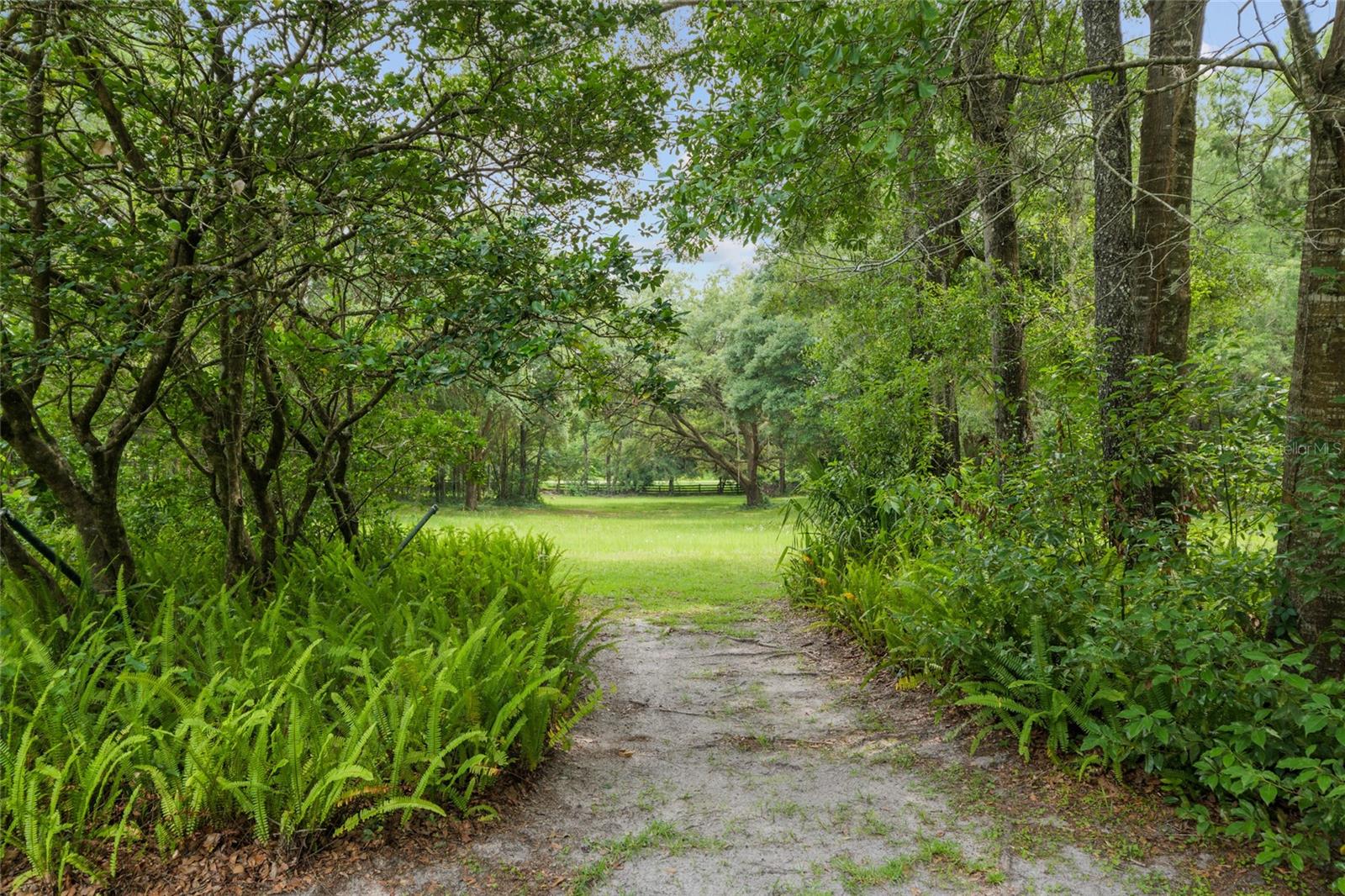 12832 SW 14TH AVE, NEWBERRY, FL, 32669