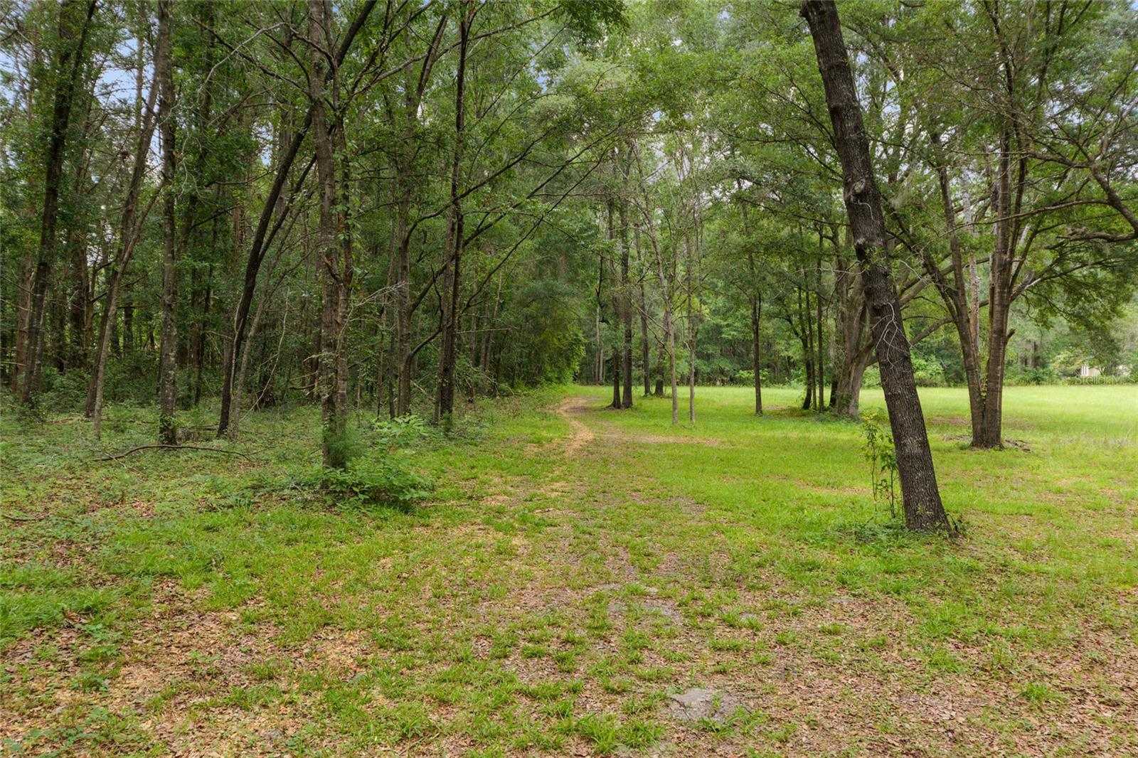 12832 SW 14TH AVE, NEWBERRY, FL, 32669