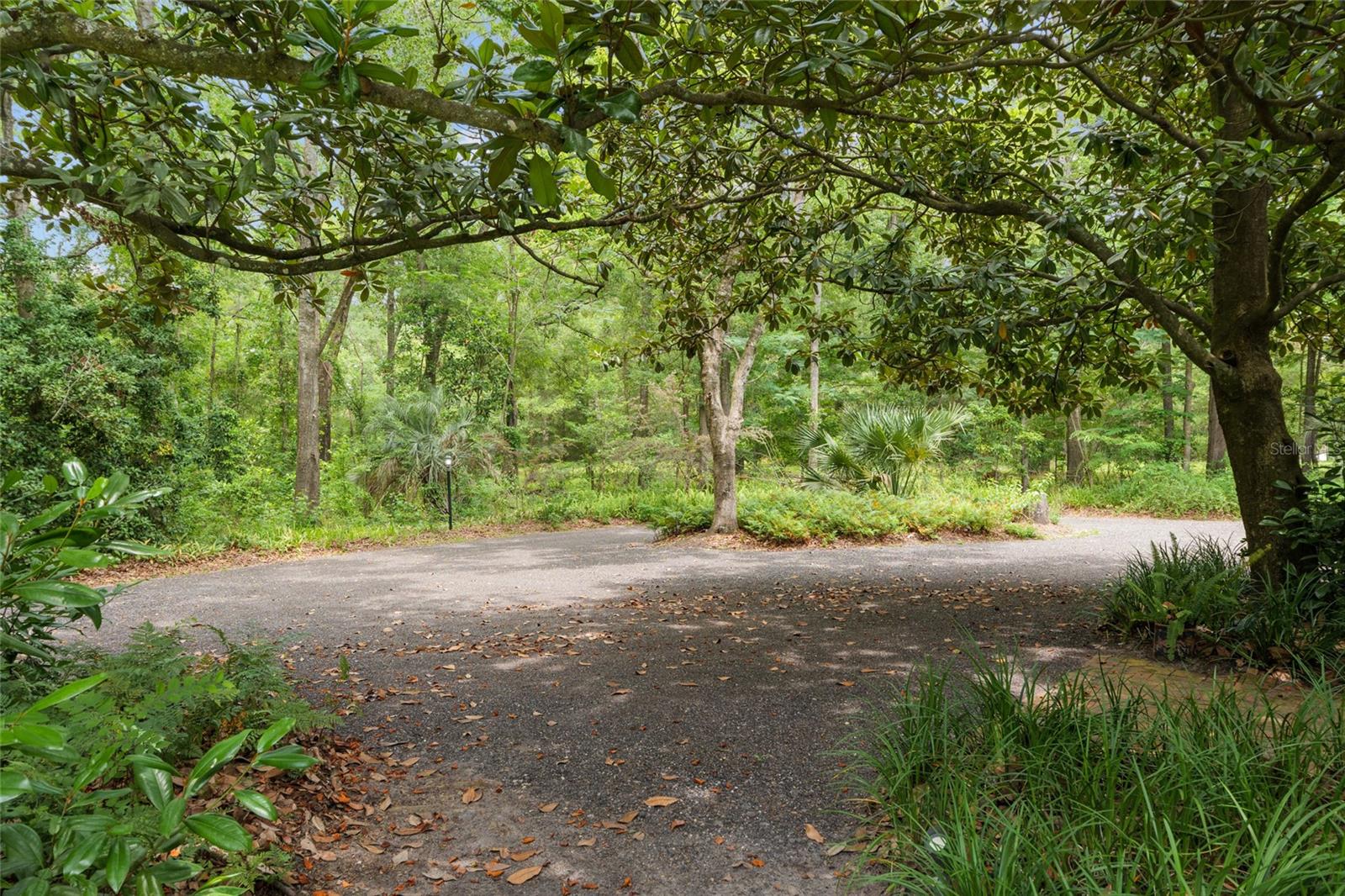 12832 SW 14TH AVE, NEWBERRY, FL, 32669