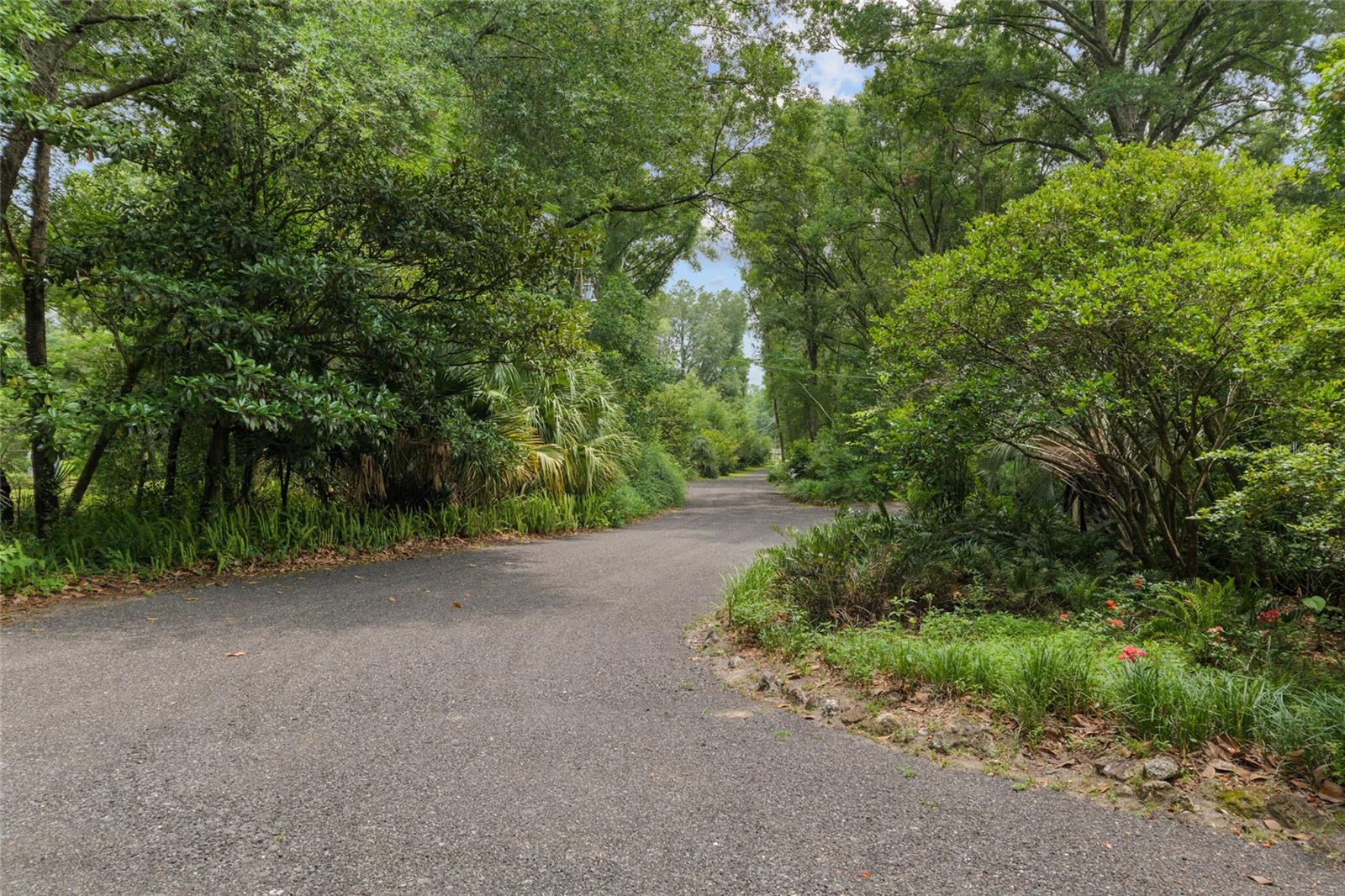 12832 SW 14TH AVE, NEWBERRY, FL, 32669