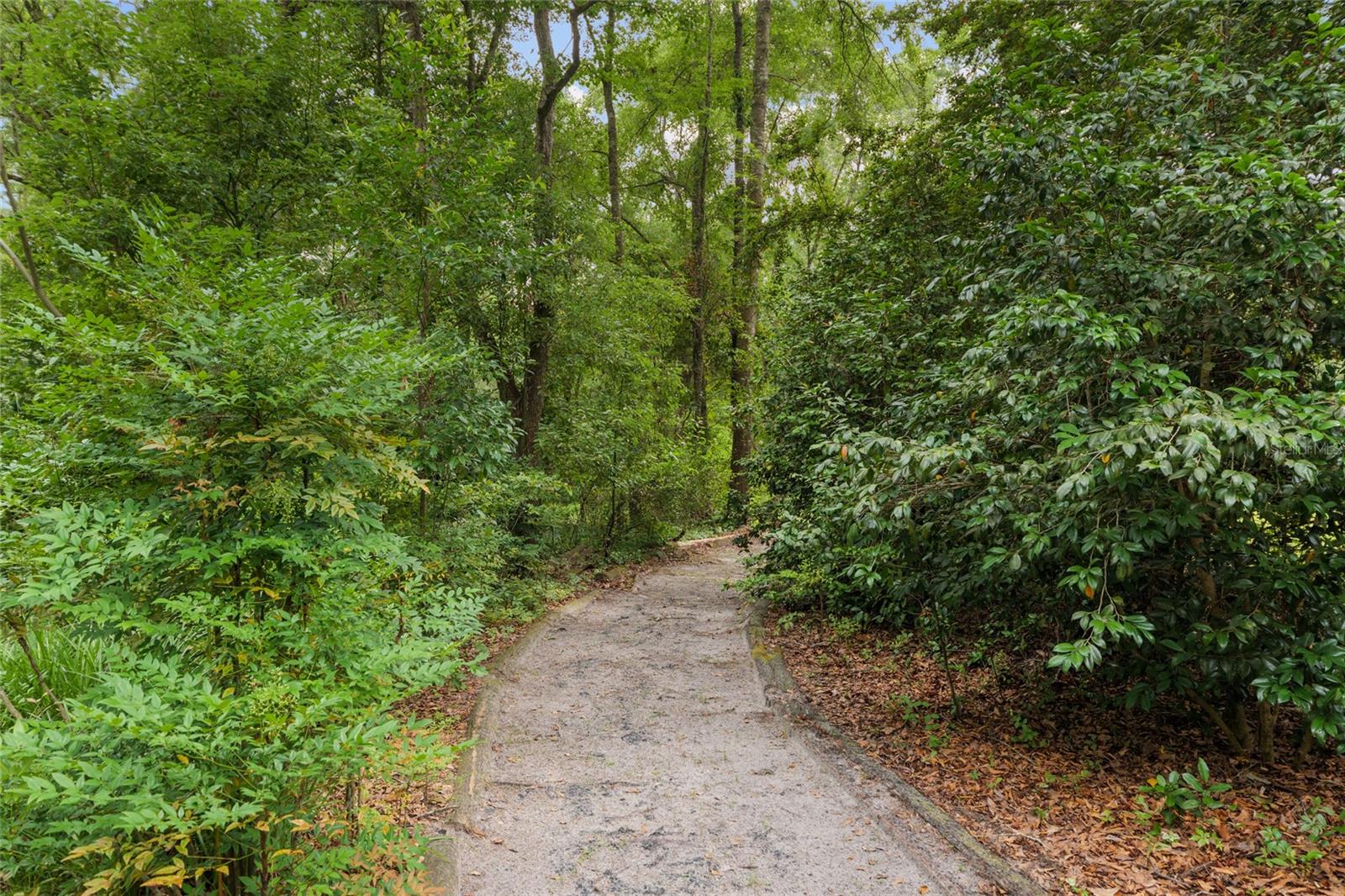 12832 SW 14TH AVE, NEWBERRY, FL, 32669