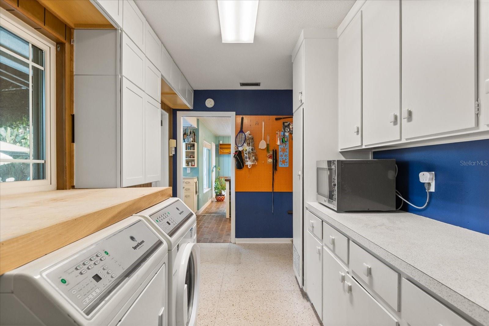 1135 THUNDER TRL, MAITLAND, FL, 32751