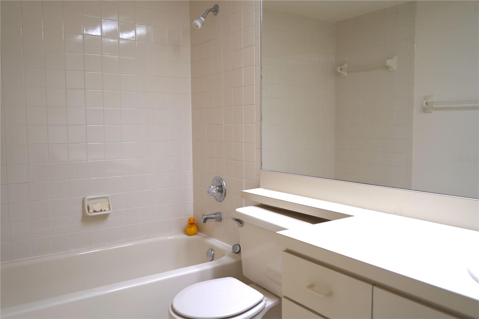 10913 FENWAY GLEN CT, RIVERVIEW, FL, 33578