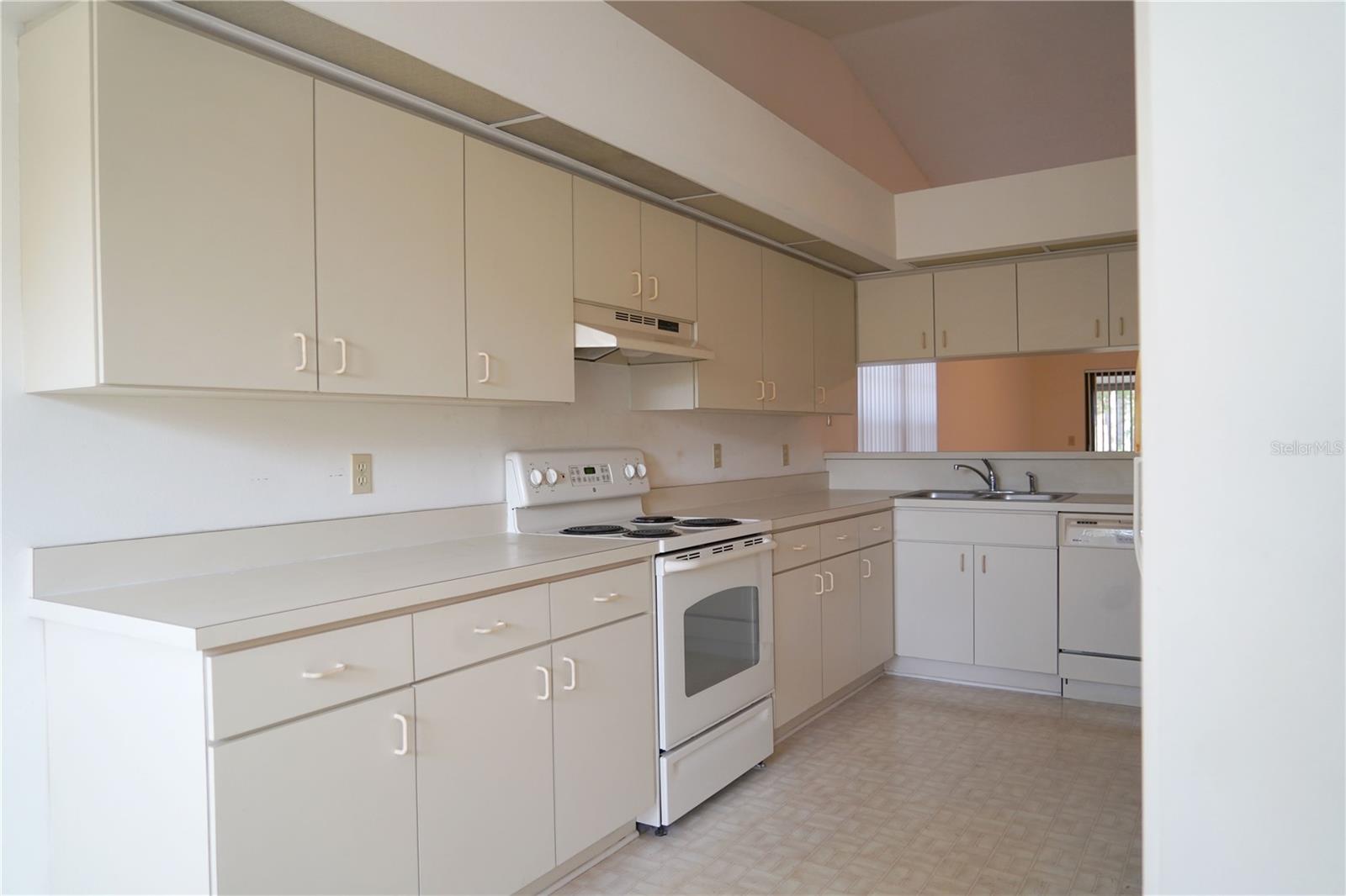 10913 FENWAY GLEN CT, RIVERVIEW, FL, 33578